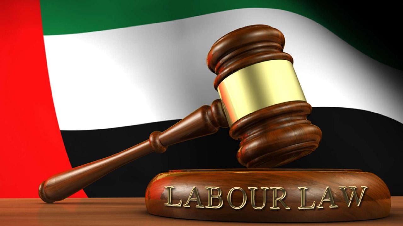 alt="UAE: Guidelines for Transferring Domestic Workers and Legal Job Resignation"