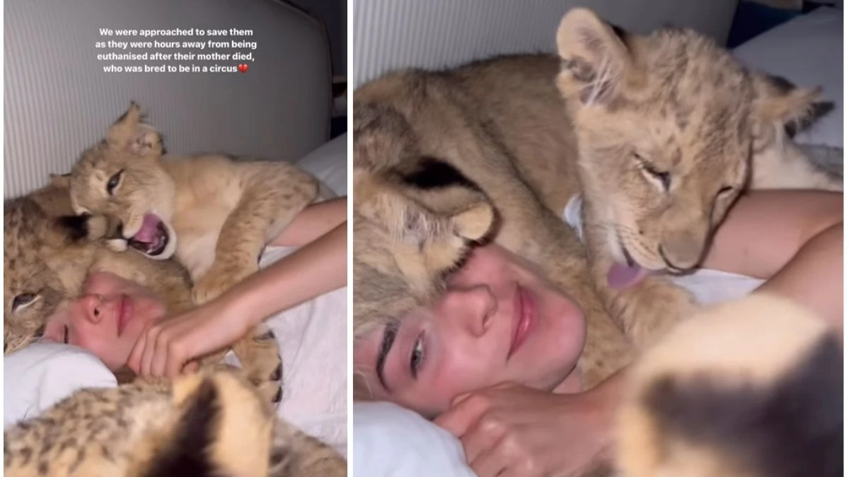 alt="A woman's video of her hugging a lion has taken the internet by storm with 1 million views"