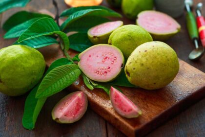 alt="Guava Leaves Take the Spotlight, Unexpected Health Wonders Revealed"