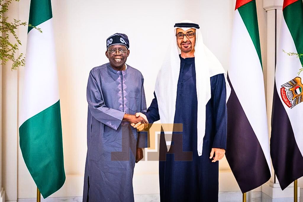 alt="UAE President Meets Nigerian President"