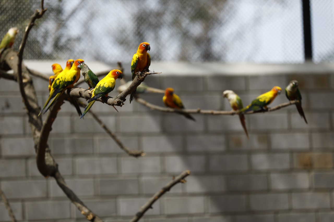 alt="Rajali Bird Park Gains Popularity as a Top Destination in Thanjavur"