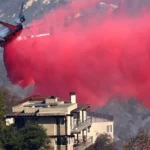 alt="Los Angeles Turns Pink: Phos-Chek Highights Battle Against Wildfires"