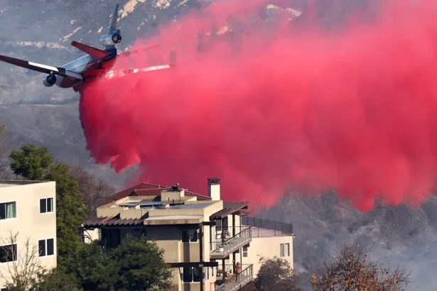 alt="Los Angeles Turns Pink: Phos-Chek Highights Battle Against Wildfires"