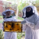 alt="Jane Goodall’s Pollinator Garden Opens in Dubai, Inspiring UAE’s Next Generation"