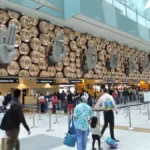 alt="Traveling to India? Skip Long Immigration Queues at Delhi Airport"