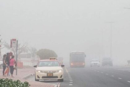 alt="Fog Alert in UAE: Police Urge Caution as Drivers Face Reduced Visibility"