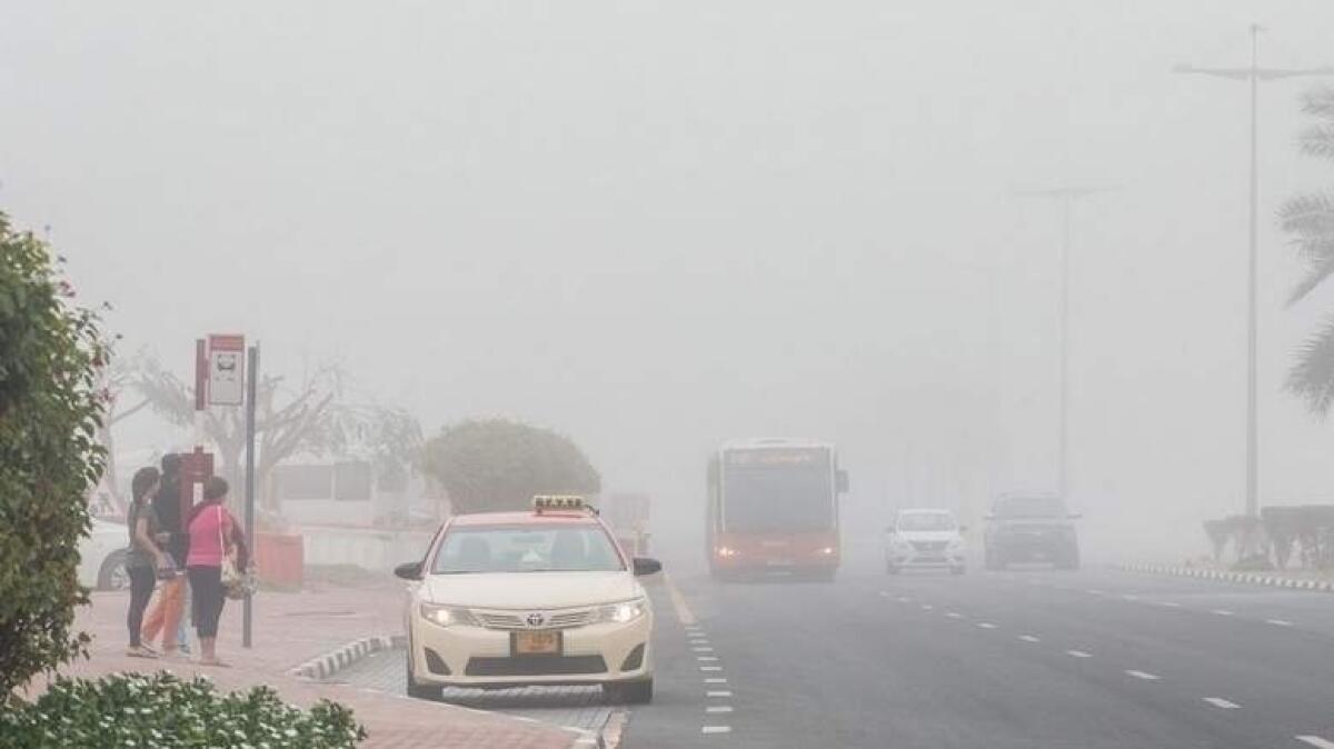 alt="Fog Alert in UAE: Police Urge Caution as Drivers Face Reduced Visibility"