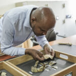 alt="Prague Museum to Display First European Show of 3.18 Million-Year-Old Lucy"