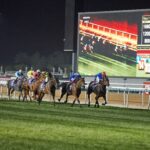 alt="Dubai World Cup Spots on the Line at Super Saturday Showdown"