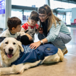 alt="Meet Dino: The Therapy Dog Easing Travel Anxiety at North Macedonia’s Airport"