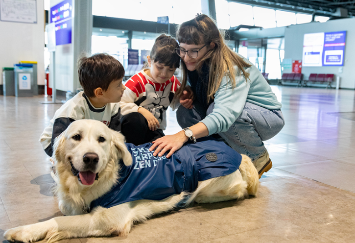 alt="Meet Dino: The Therapy Dog Easing Travel Anxiety at North Macedonia’s Airport"