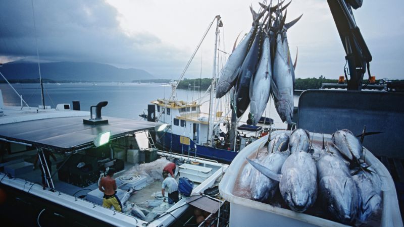 alt="UAE Fisherman Fined Dh50,000 for Overfishing in Abu Dhabi Waters"