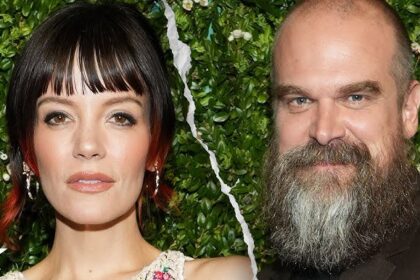 alt="David Harbour & Lily Allen Split"