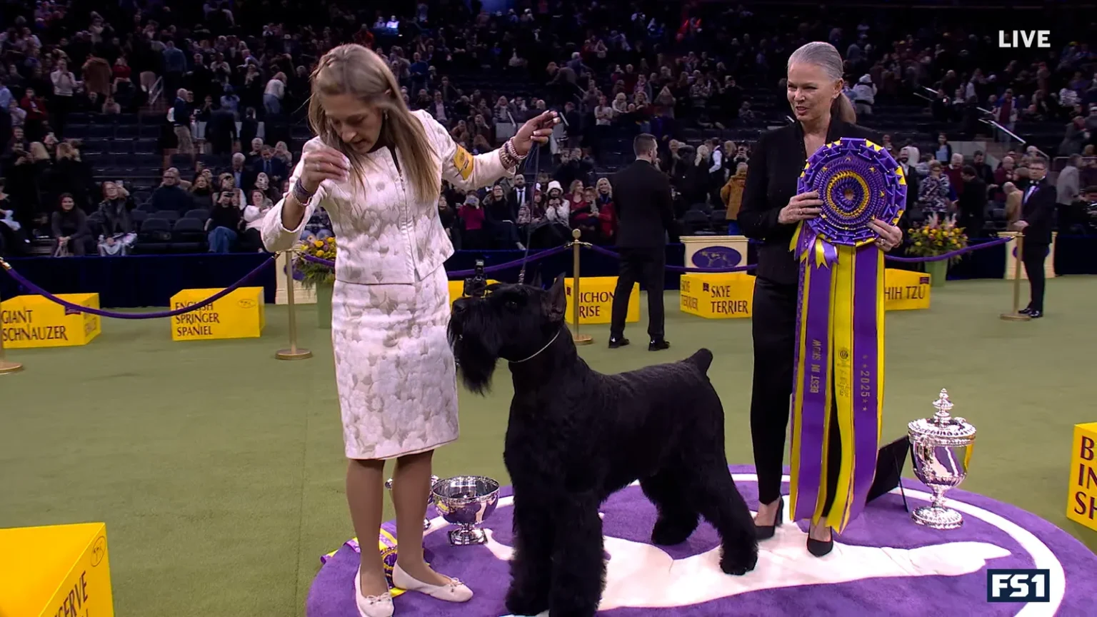 alt="2025 Westminster Kennel Club Dog Show "