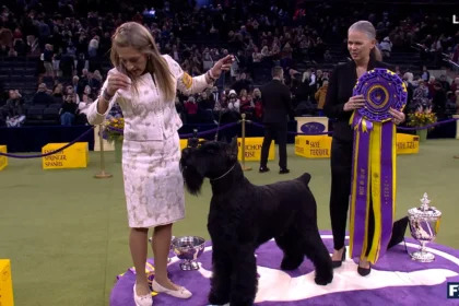 alt="2025 Westminster Kennel Club Dog Show "