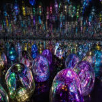 alt="TeamLab Phenomena: Abu Dhabi’s Newest Immersive Art Experience Opens in April"