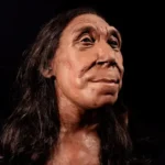 alt="Meet 'Pink': The New Face of European Human Evolution"