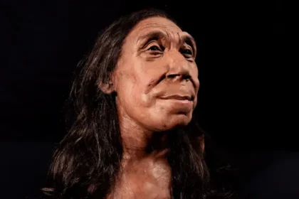 alt="Meet 'Pink': The New Face of European Human Evolution"