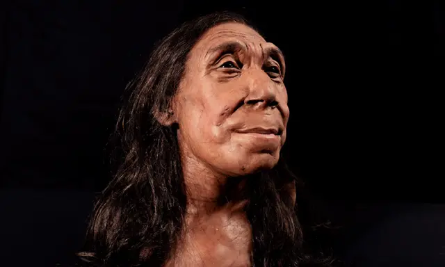 alt="Meet 'Pink': The New Face of European Human Evolution"