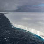 alt="World's Largest Iceberg Runs Aground, Wildlife Haven Spared Major Disruption"