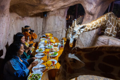 alt="Live an Unforgettable Ramadan Iftar at Emirates Park Zoo"