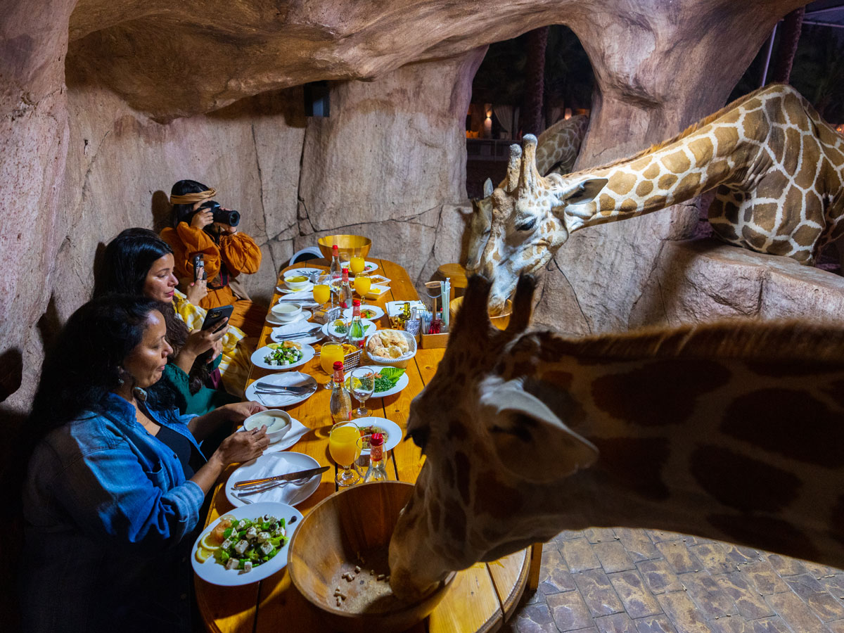 alt="Live an Unforgettable Ramadan Iftar at Emirates Park Zoo"