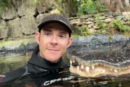 alt="Courageous or Mad? Man Hand-Feeds Giant Crocodile Like Pet"