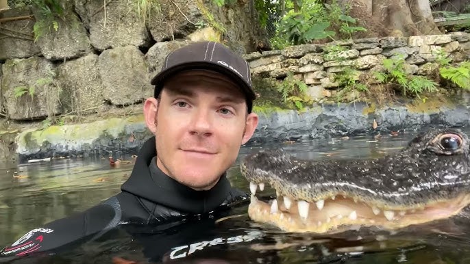 alt="Courageous or Mad? Man Hand-Feeds Giant Crocodile Like Pet"