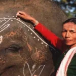 alt="Parbati Barua: Assam's 'Elephant Girl' Who Redefined Wildlife Conservation"