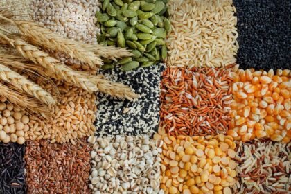 alt="Chickpeas, Lentils Healthier Than Oats and Wheat: Study"