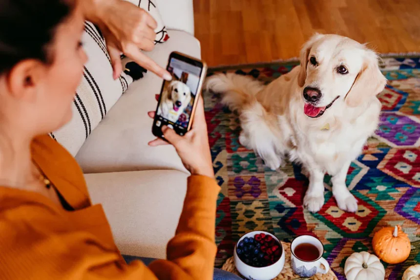 alt="Get to Know the Dog Stars: Top 10 Canine Influencers Dominating Social Media in 2025"