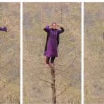 alt="Daring in the Forest: Kashmiri Woman's Tree-Top Dance Enthralls the Internet"