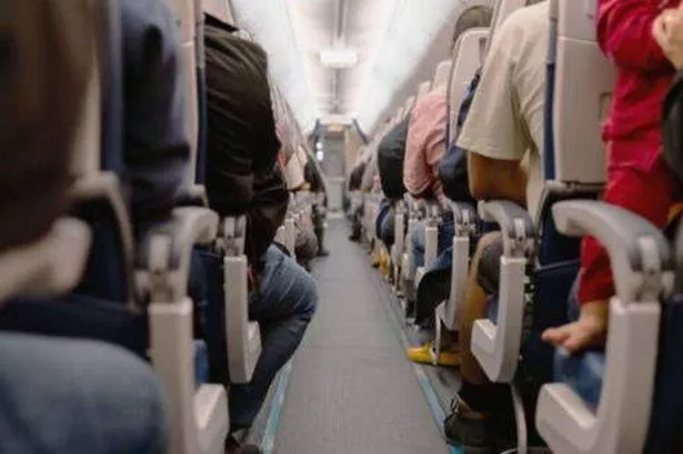 alt="Secret Plane Features: Hidden Spaces Frequent Flyers Never Knew Existed"