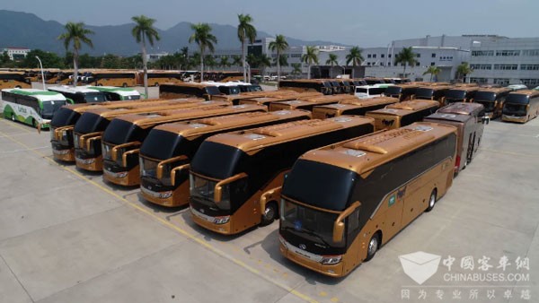 alt="Saudi Arabia Enhances Hajj Preparedness With Buses, Hospitals, Greenery"