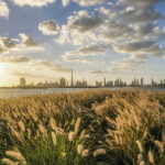 alt="UAE Residents Uncover Nature's Hidden Treasures Through Breathtaking Lenses"