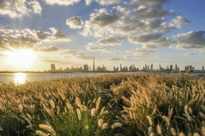 alt="UAE Residents Uncover Nature's Hidden Treasures Through Breathtaking Lenses"