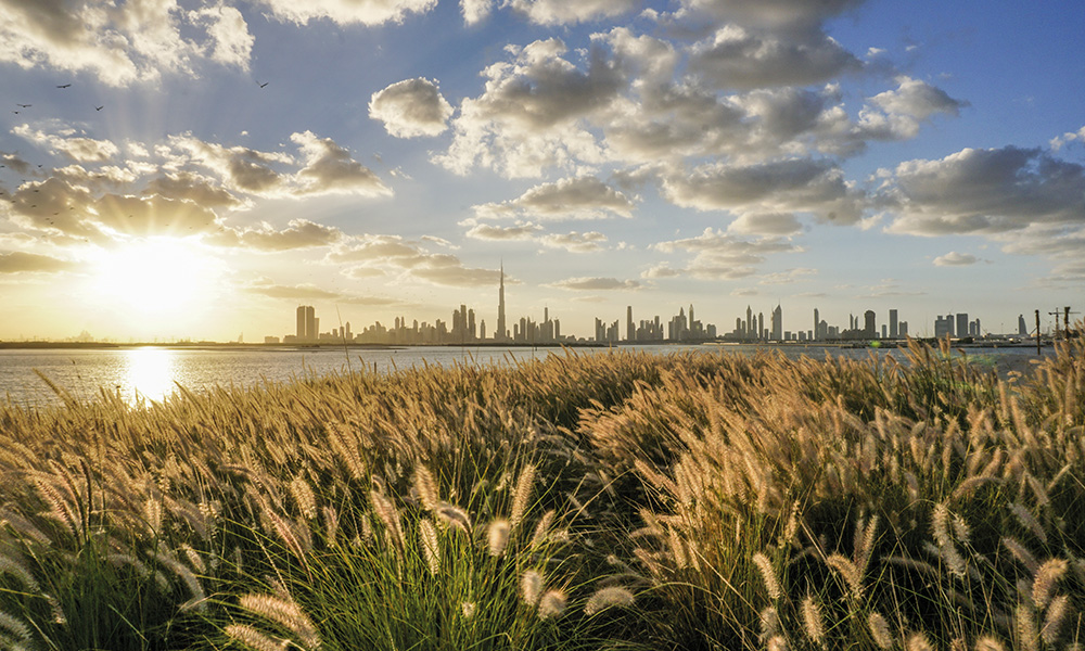 alt="UAE Residents Uncover Nature's Hidden Treasures Through Breathtaking Lenses"
