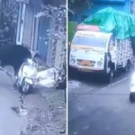 alt="Bull Rides Scooter in Rishikesh, Internet Can't Believe Eyes"