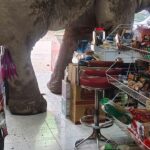 alt="Midnight Munchies: Hungry Wild Elephant raids Thai Grocery Store for Snacks"