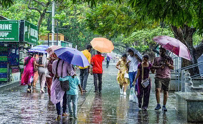 alt="Kerala’s Monsoon Magic: Thunder, Memories, Squelchy Shoes, and Soul"