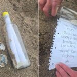 alt="Beach discovery goes viral: bottle of ashes reveals heartwarming legacy of beloved mother""