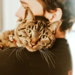 alt="Rescue Cat Heals Our Hearts: From Fear to Fur-Ever Joy"