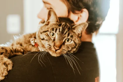 alt="Rescue Cat Heals Our Hearts: From Fear to Fur-Ever Joy"