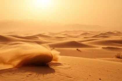 alt="As the "Jamrat Al Qayth" season begins, the UAE prepares for scorching heat"