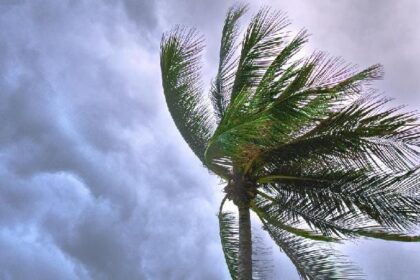 alt="As the storm leaves the Philippines and batters Vietnam, two people are missing from Severe Tropical Cyclone Wipha"
