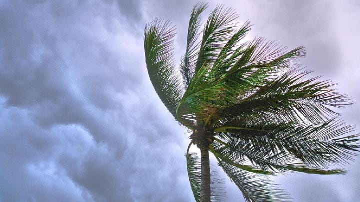 alt="As the storm leaves the Philippines and batters Vietnam, two people are missing from Severe Tropical Cyclone Wipha"