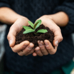 alt="Small Steps, Big Impact: Why Measurable Sustainability Wins Over Grand Gestures"