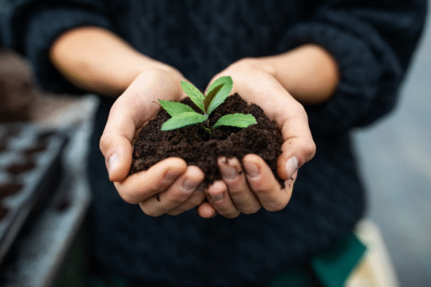 alt="Small Steps, Big Impact: Why Measurable Sustainability Wins Over Grand Gestures"