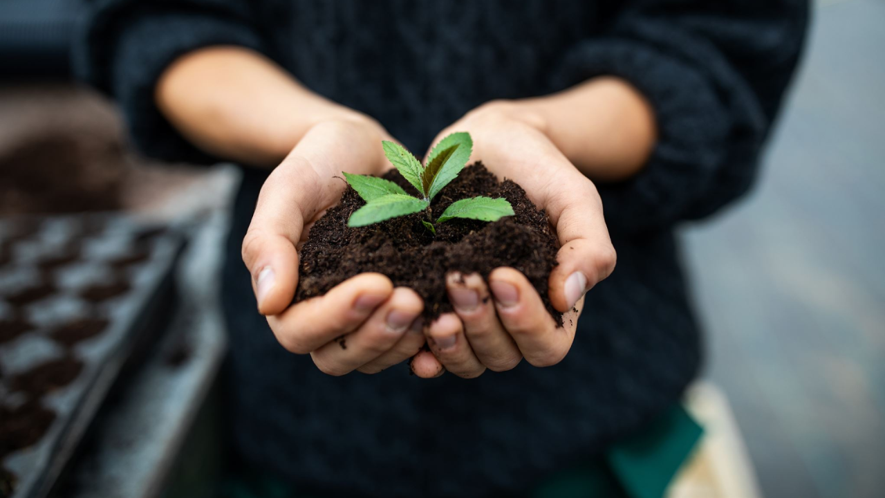 alt="Small Steps, Big Impact: Why Measurable Sustainability Wins Over Grand Gestures"