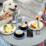 alt="10 Dubai Pet-Friendly Cafés to Cool Off With Your Dog"
